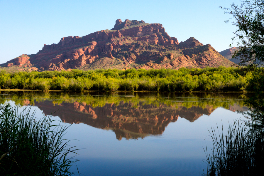 McDowell Mountain