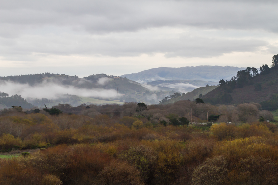 Fog at Carmel River SB