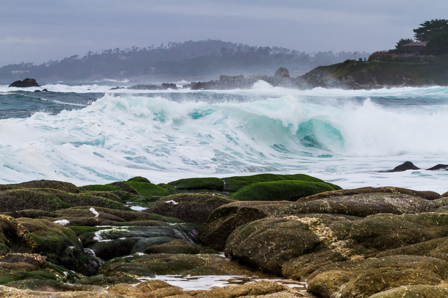 Ocean scene