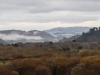 Fog at Carmel River SB