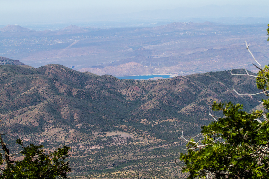 View from Mt. Ord