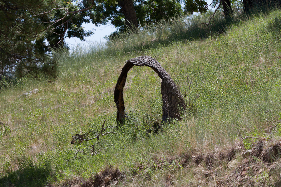 Archway