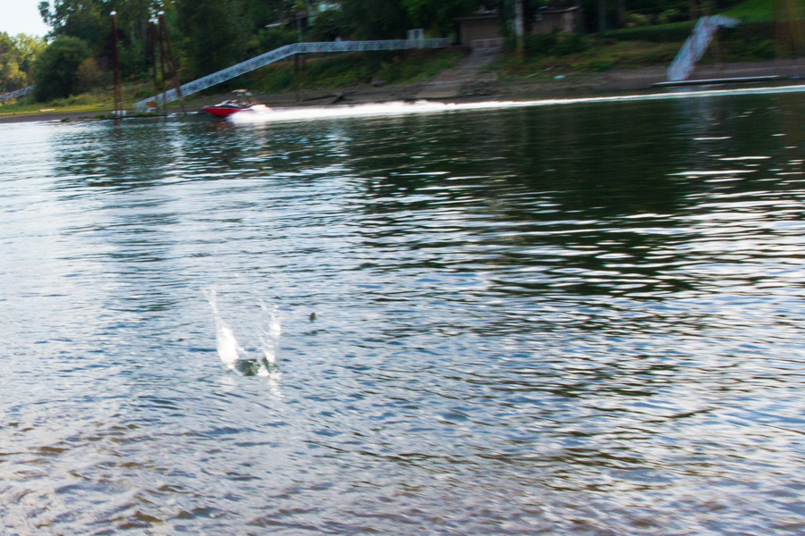 Rock skipping on the Willamette River