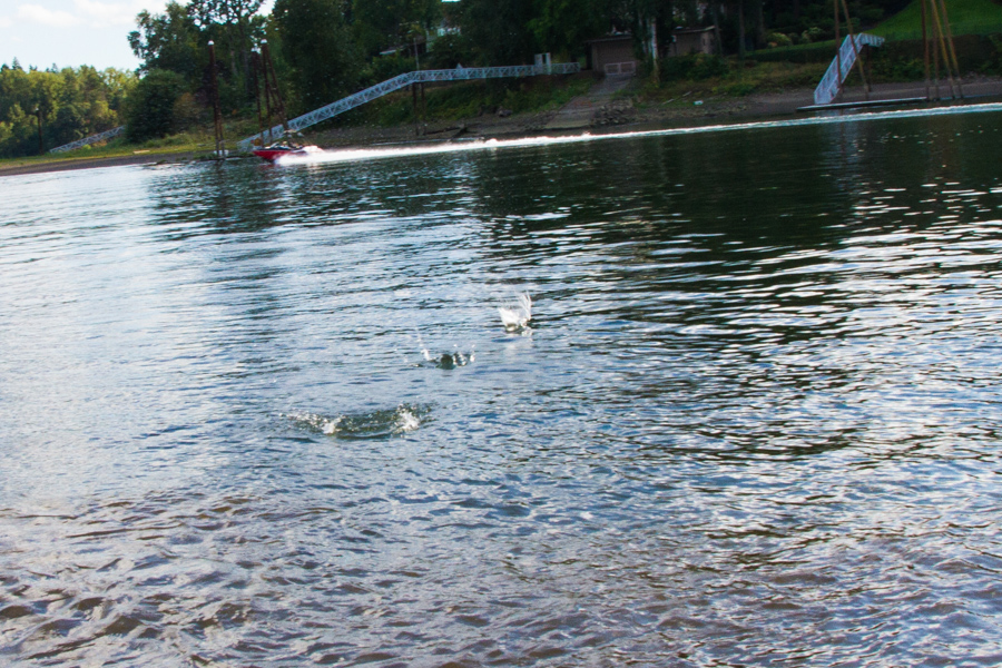 Rock skipping on the Willamette River