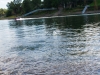 Rock skipping on the Willamette River