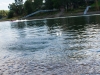 Rock skipping on the Willamette River