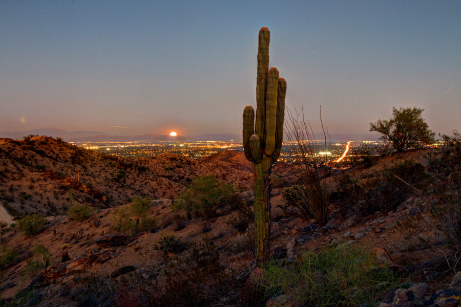 Super moon and Saguaro