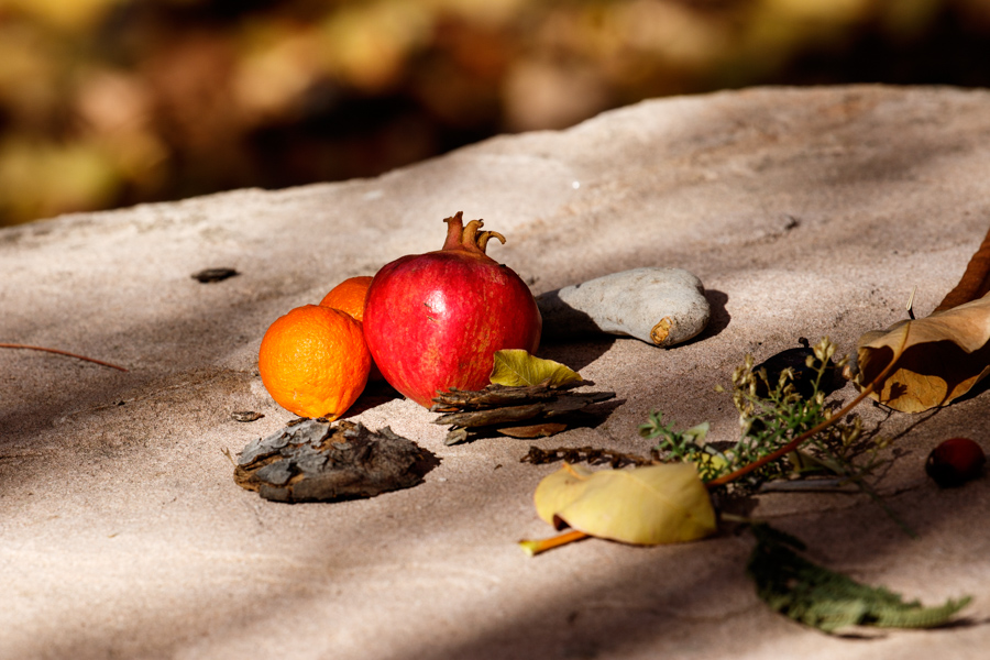 Cumquat and Pomegranate