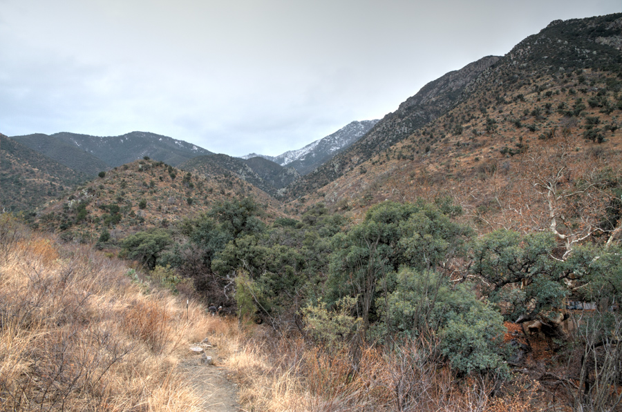 Florida Canyon