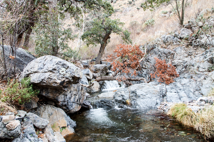 Florida Canyon