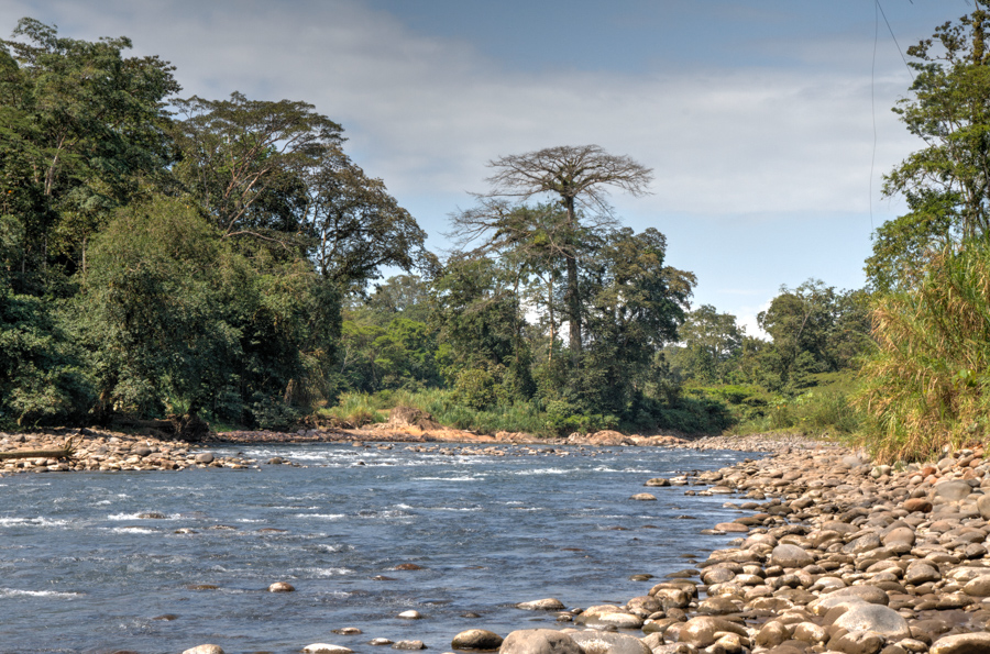 Sarapiquí River