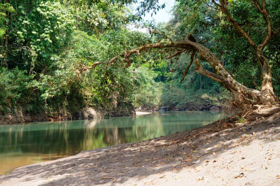 Puerto Viejo River