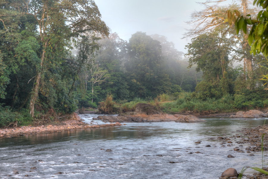 Sarapiquí River