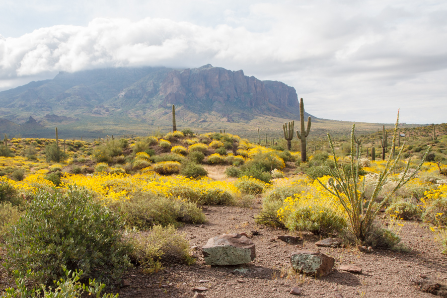 Superstition Mountains