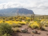 Superstition Mountains