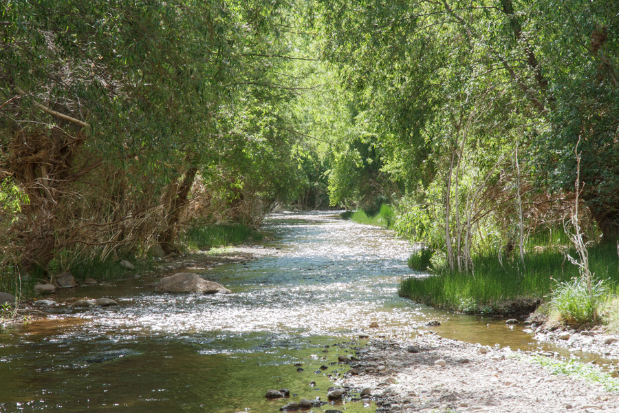 Aravaipa Creek