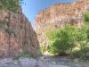 Aravaipa Canyon