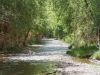 Aravaipa Creek