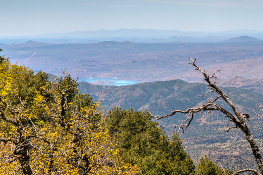 Canyon Lake