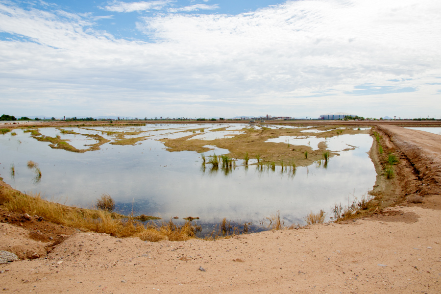 Glendale Rechare Ponds