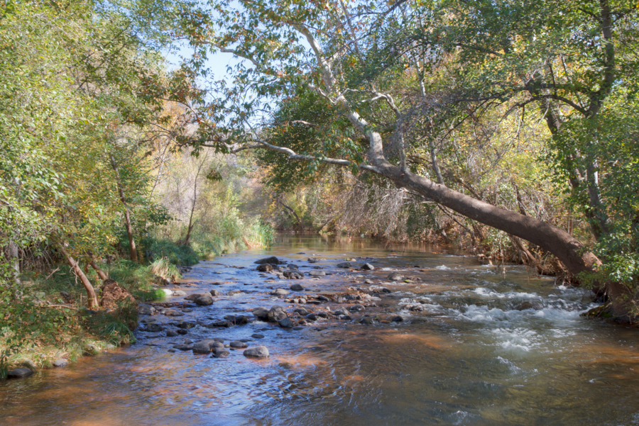 Oak Creek