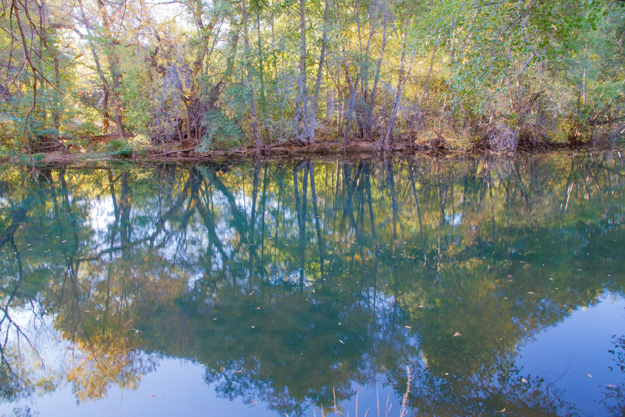 Sycamore Creek