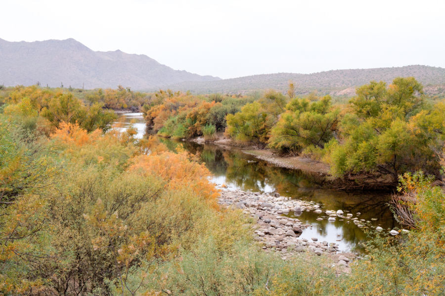 Salt River