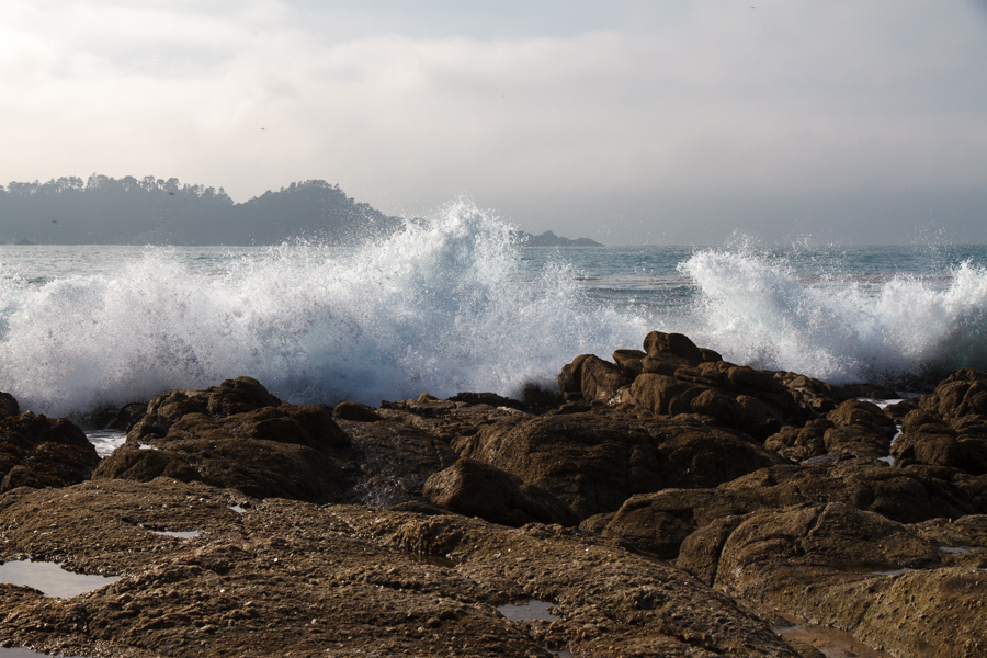 Ocean scene