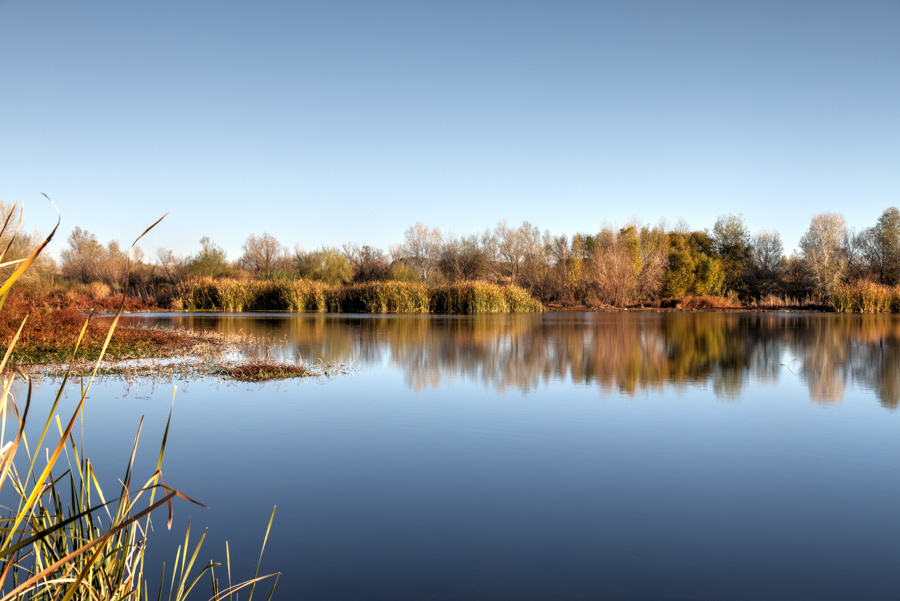 Gila River