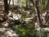 Creek through Scheelite Canyon