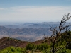 Pinal Peak