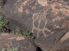 Petroglyph