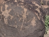 Petroglyph