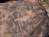 Petroglyph