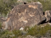 Petroglyph