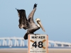 Brown Pelican