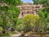 Aravaipa Canyon