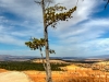 Bryce Canyon