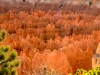 Bryce Canyon