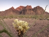 Kofa National Wildlife Refuge