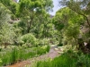 Aravaipa Canyon