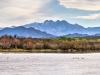 Salt River and Four Peaks