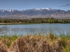 Dankworth Pond and Mt Graham