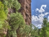 Aravaipa Canyon