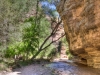 Aravaipa Canyon