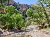 Aravaipa Canyon