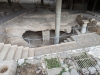 Excavations beneath the Church of the Annunciation reveal the remains of a village of Roman times. Nazareth, Israel.