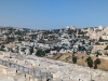 Mount of Olives