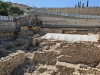 City of David