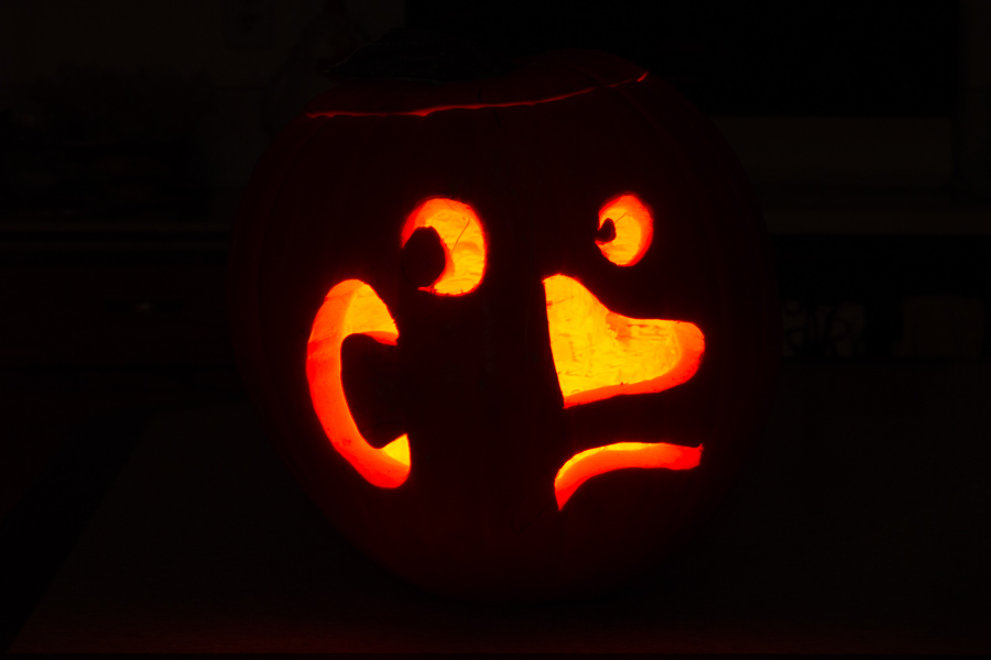 Pumpkin 2015